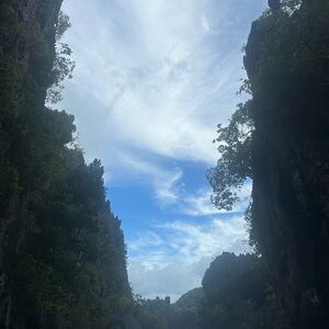 Meet your Posher, Bella